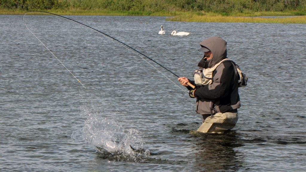 Featured Image: The Best Braided Fishing Lines